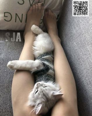 av在线片-免费电影全集在线观看